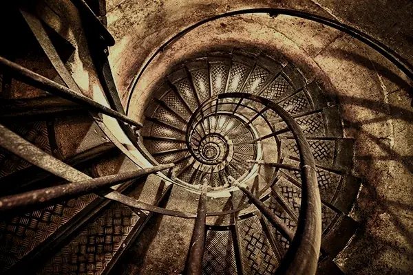 Spirale naturelle
